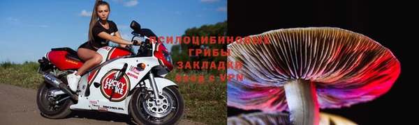 соль курить ск Богородск